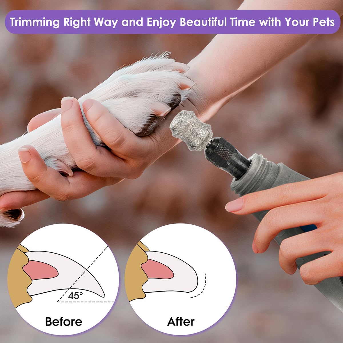 Asozeer Dog Nail Grinder Bits For Dremel - Diamond Dog Nail Grinder Attachment For Large Medium Small Dogs Nail Care - 1/8' Pai