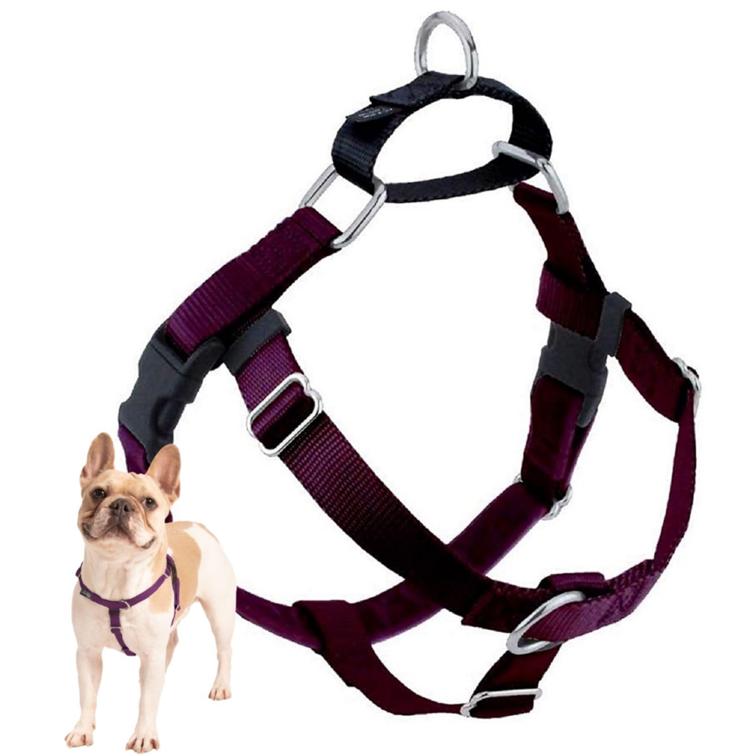 2 Hounds Design Freedom No Pull Dog Harness, Adjustable Harness, Easy Walking & Comfortable Control, Fits Small, Medium & Large Dogs, Solid Colors, Made In Usa, 1' Lg, Burgundy