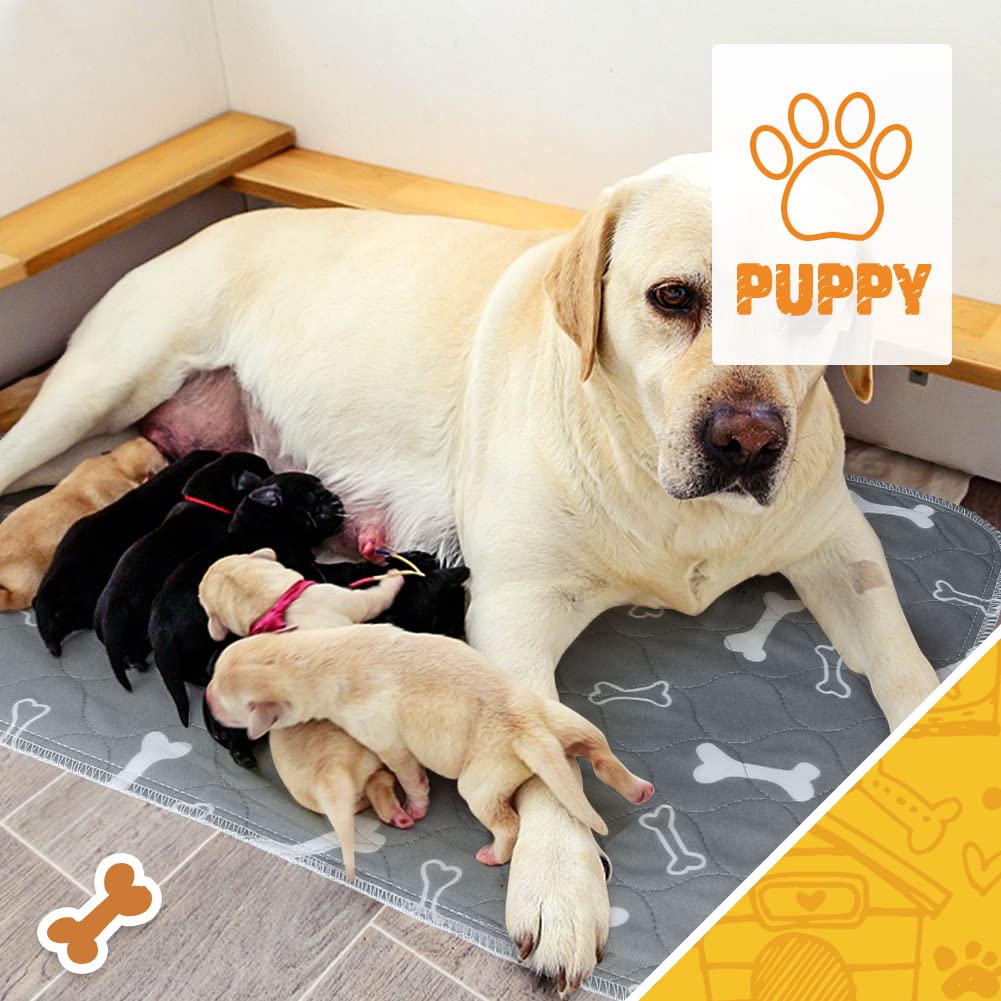2Pack Washable Pee Pads For Dogs, 41?6 Inch Reusable Dog Pads, Non Slip Puppy Pads With Urine Absorption, Reusable Puppy Pads For Whelping, Potty, Training, Playpen