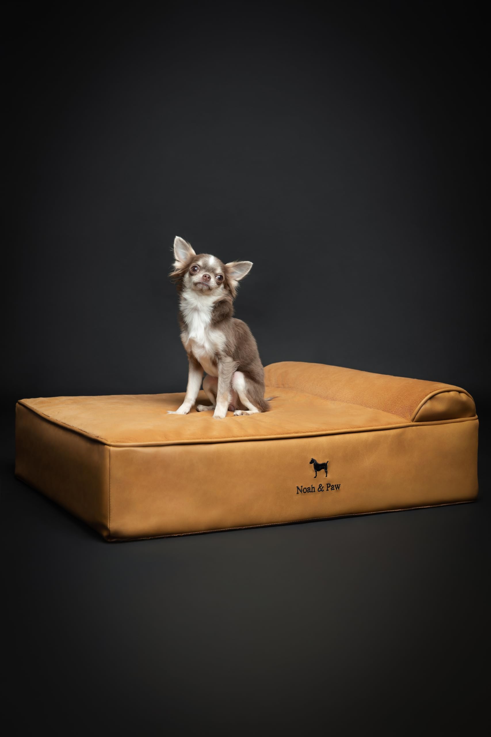 NOAH & PAW Dog Bed, 28x23x11 Inch, Orthopedic Dog Beds for Medium Size Pets, Eggshell Memory Foam Infused with Cooling Gel, Wate