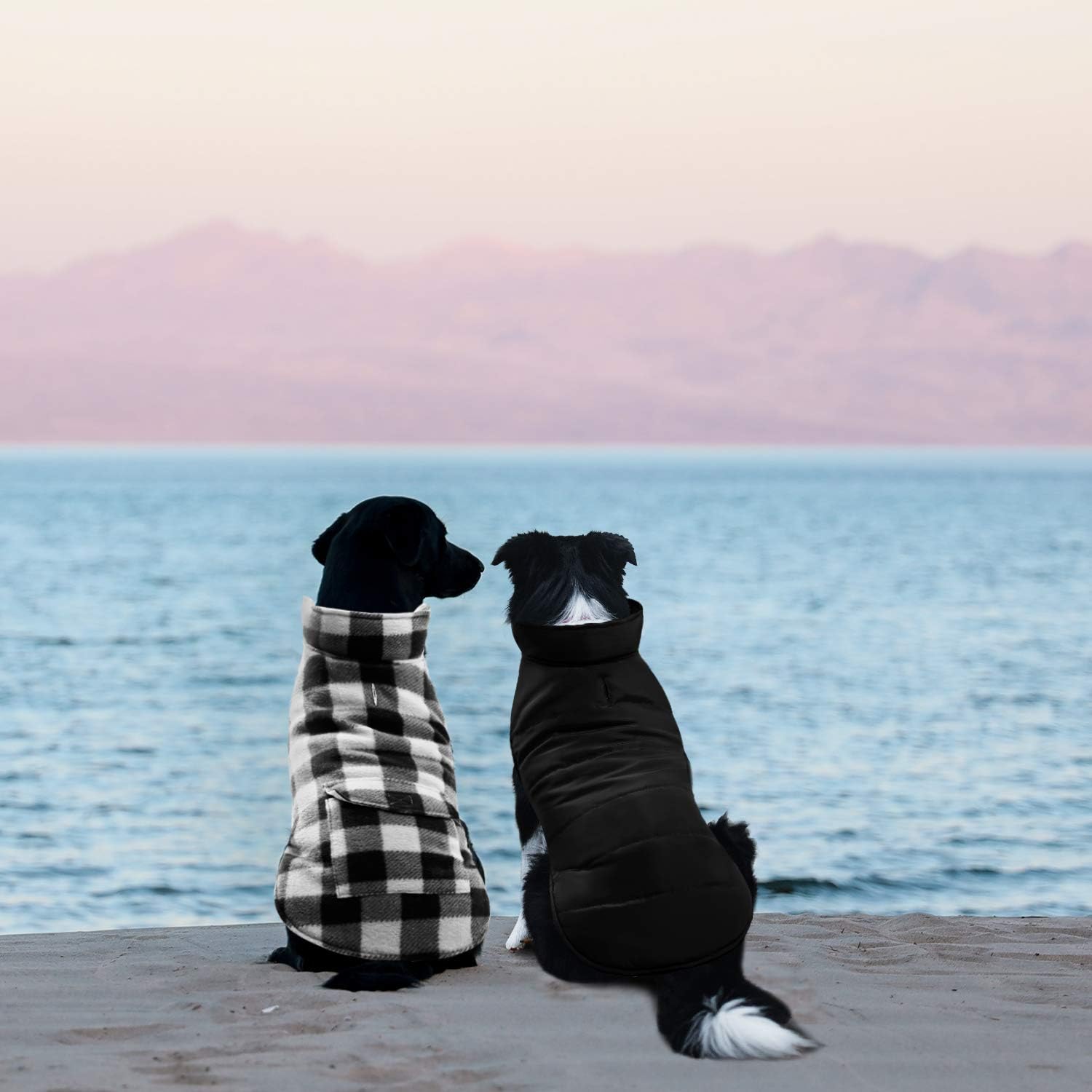 ASENKU Dog Winter Coat - Reversible Fleece Jacket, Waterproof, Windproof, Medium, White, Dog Plaid Pocket Coat
