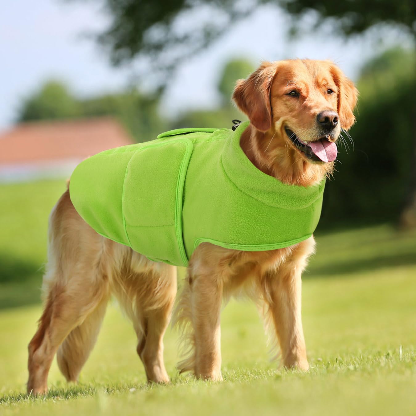 Queenmore Xxs Dog Sweaters, Soft Fleece Vest Pullover Dog Jacket With Leash Hole, Warm Winter Dog Clothes Cold Weather Doggy Dachshund Sweater For Small Dogs Cats Boy Or Girl (Green, Xxs)