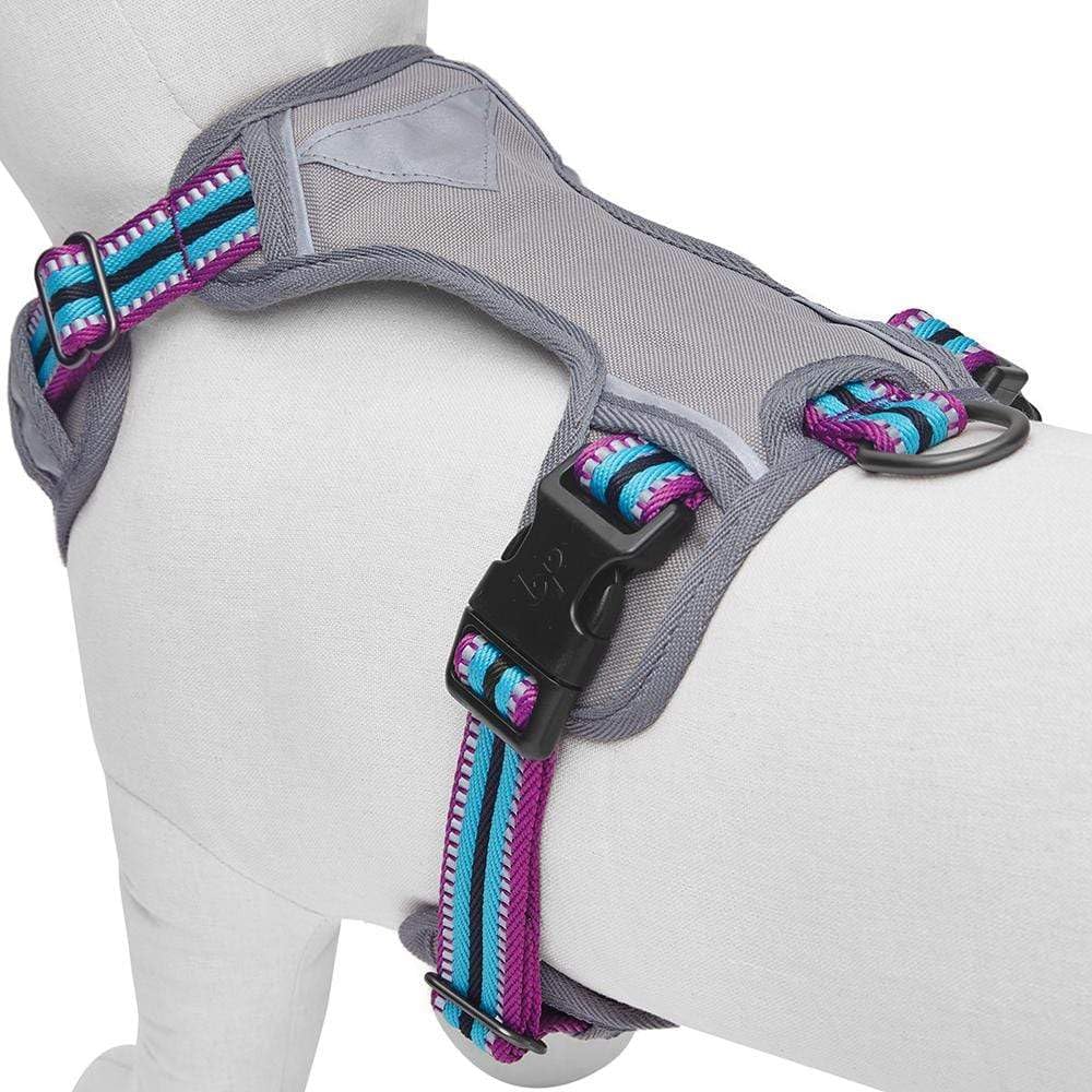 Blueberry Pet Soft & Comfy 3M Reflective Dog Harness Vest | Mesh Padded No Pull Dog Harness W/Front/Back Clips | Multi-Colored Stripe - Violet And River Blue | Reflective Dog Harness For Large Dogs