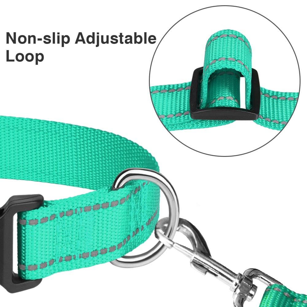 Taglory Reflective Adjustable Dog Collars For Puppy Small Medium Large Dogs, Thin Nylon Webbing And Quick Release Plastic Buckle(Teal Green,X-Large)