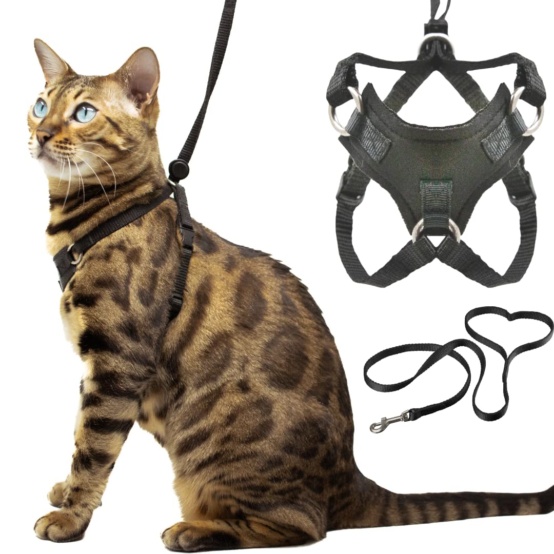 Houdini™ Escape Proof Cat Harness And Leash Set By Outdoorbengal For Walking Cats And Kittens (Soft Mesh, Kitten)