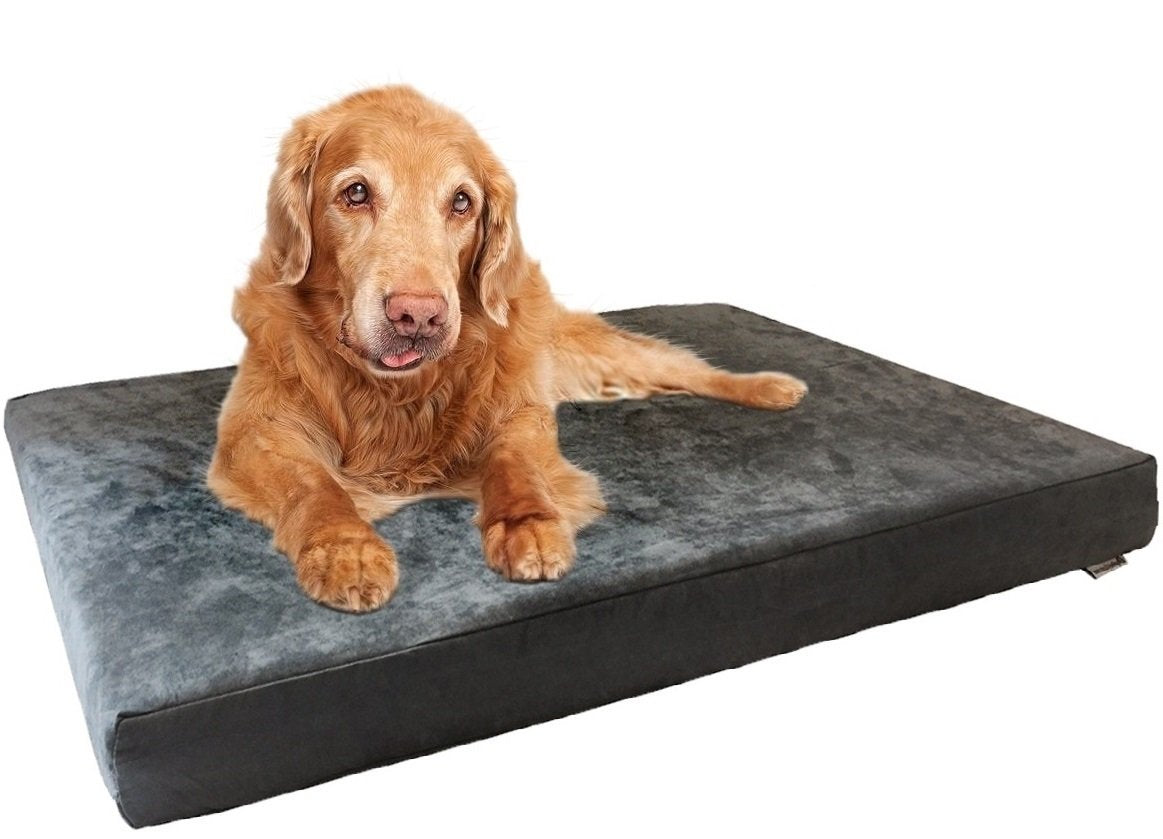 Dogbed4less Orthopedic Dog Bed with Memory Foam for Medium Large Pet, Waterproof Liner, Washable Microsuede Gray Cover, 41X27X4 