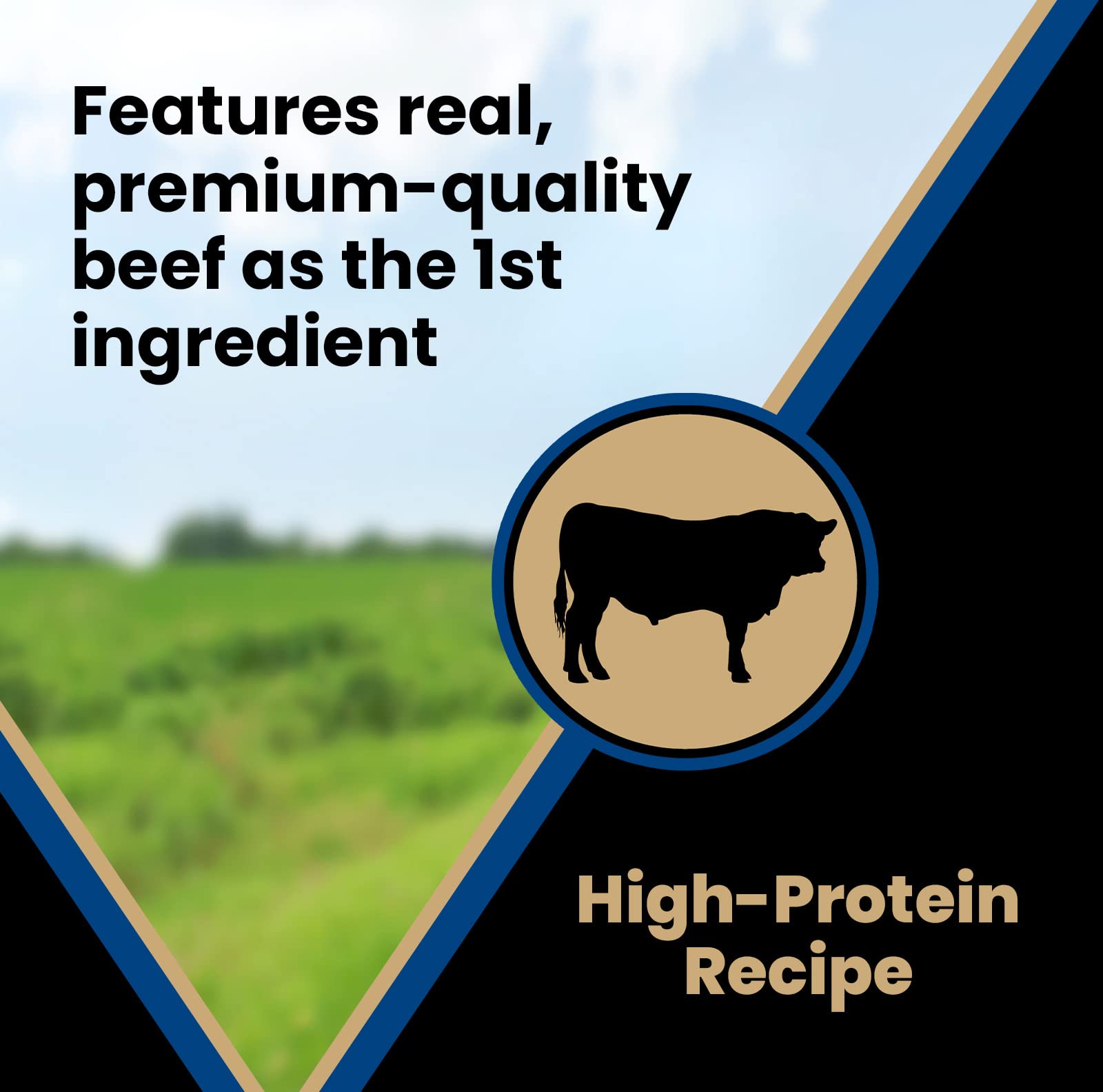 VICTOR Super Premium Dog Treats - Classic Hi-Pro Savory Strips with Real Beef - Supports Immune System, Digestive Health, & Heal