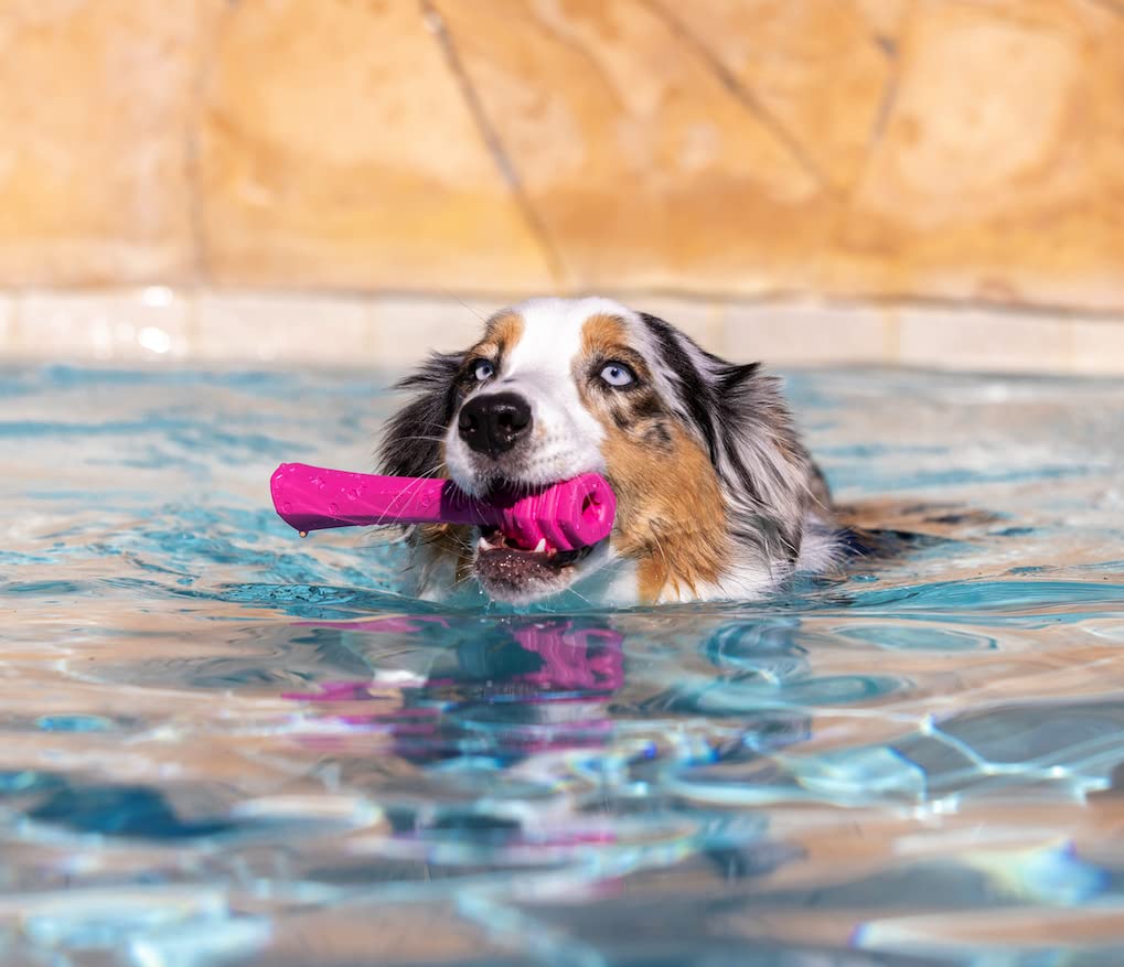 Project Hive ·Pet Company· - Wild Berry Scented - Hive Dog Fetch Stick For Large Breeds - Dog Stick Toy - Floats In Water - Treat Dispenser Toy - Durable And Tough - Made In The Usa