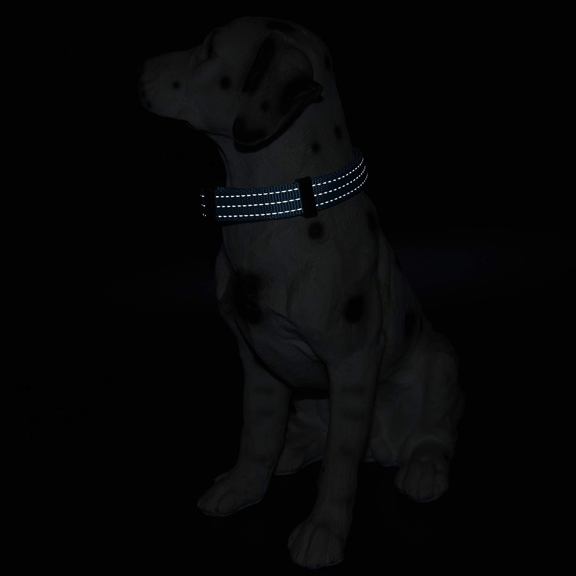 Mile High Life Dog Collar | Nylon Reflective Dog Collars | Light Weight Puppy Collars | Purple Dog Collars For Medium Dogs (Soli