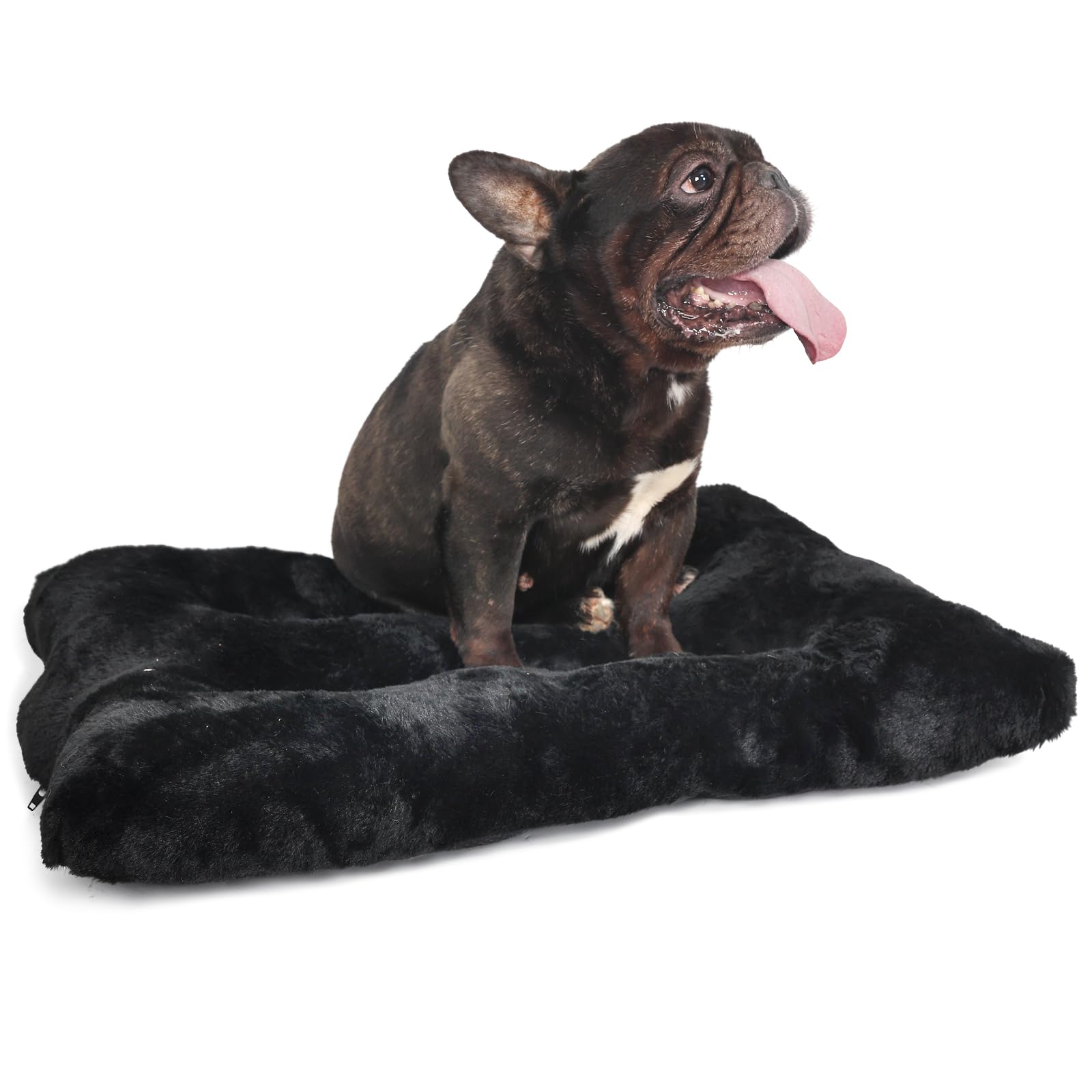 Nononfish Crate Beds For Small Dogs Washable Fit Crates Or Cage With Zipper,Extra Soft Black Pet Mat 24 Inch With Anti-Slip Bott