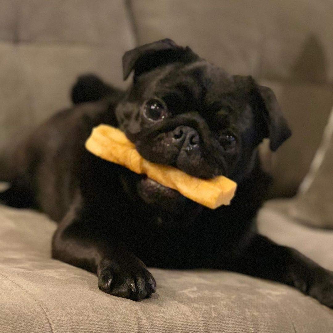 Doggo Dog Chew - Premium Yak Cheese Himalayan Dog Chews - Natural Yak Chews for Large and Small Dogs - Yak Milk Dog Chew - Long-