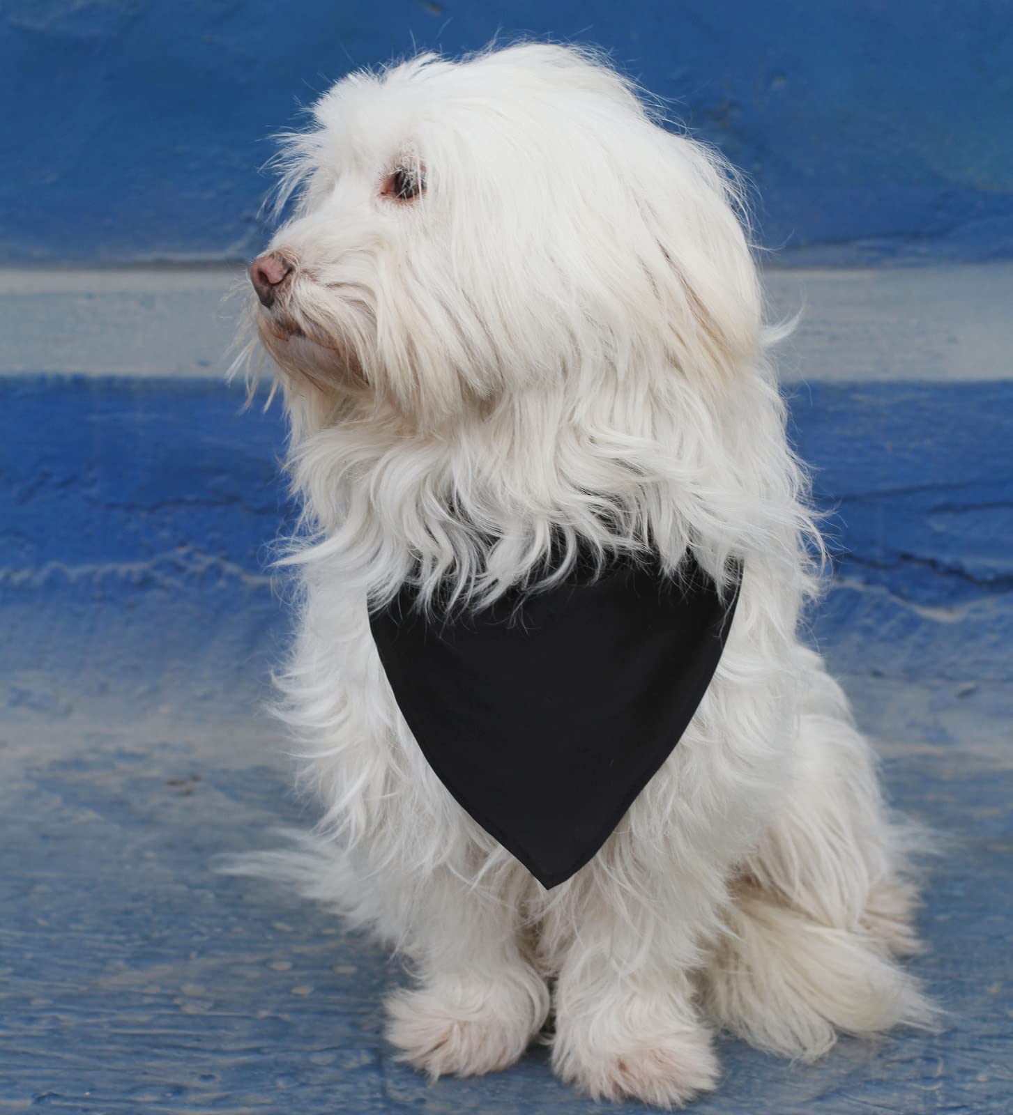 Eechicspace Polyester Dog Bandana Black Dog Scarf For Small Medium Large Pets