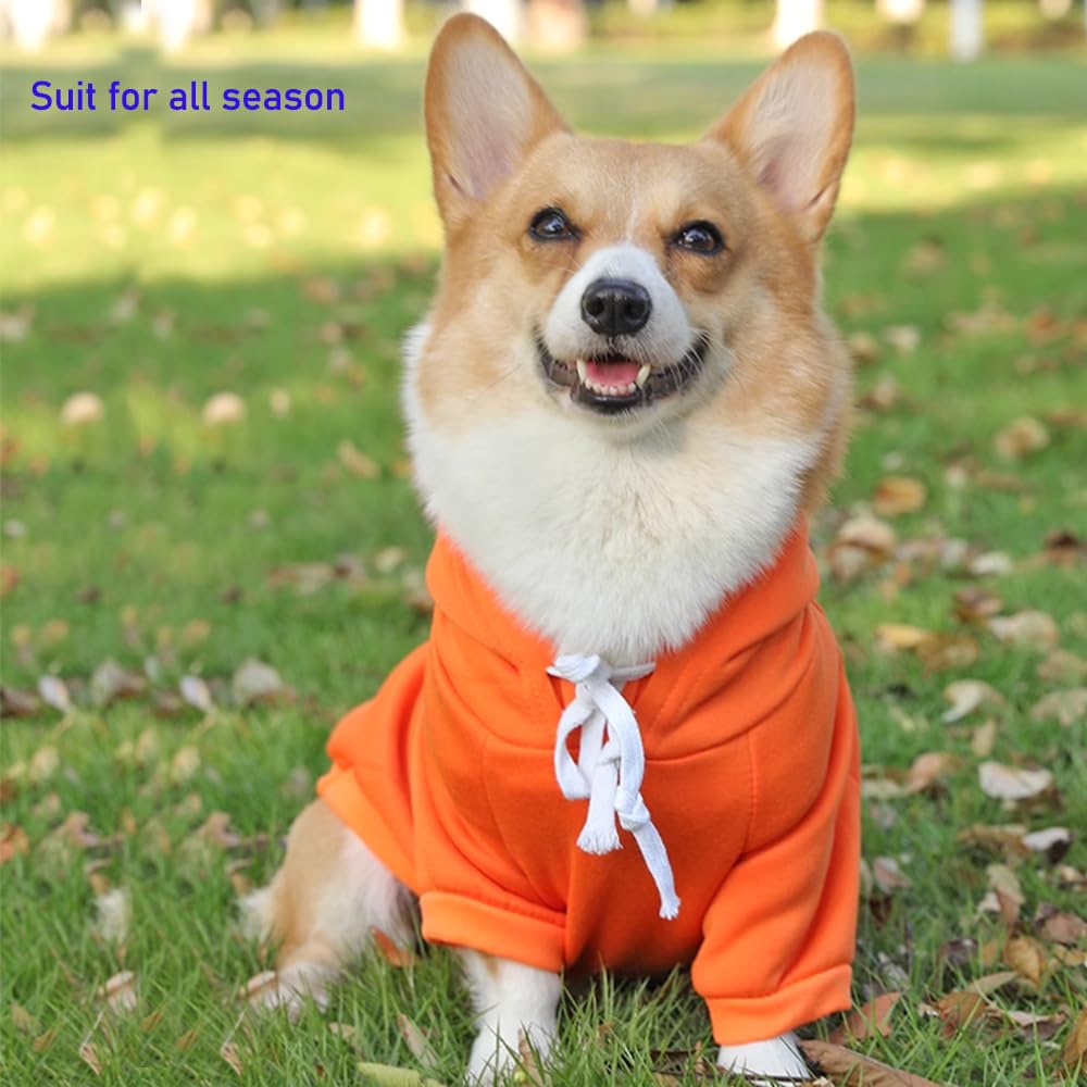 Aniac Funny Pet Clothes - Carrot Dog Cat Hoodies Sweatshirt Coat With Fruit Hood - Fall Puppy Cat Sweater - Halloween Easter Dog