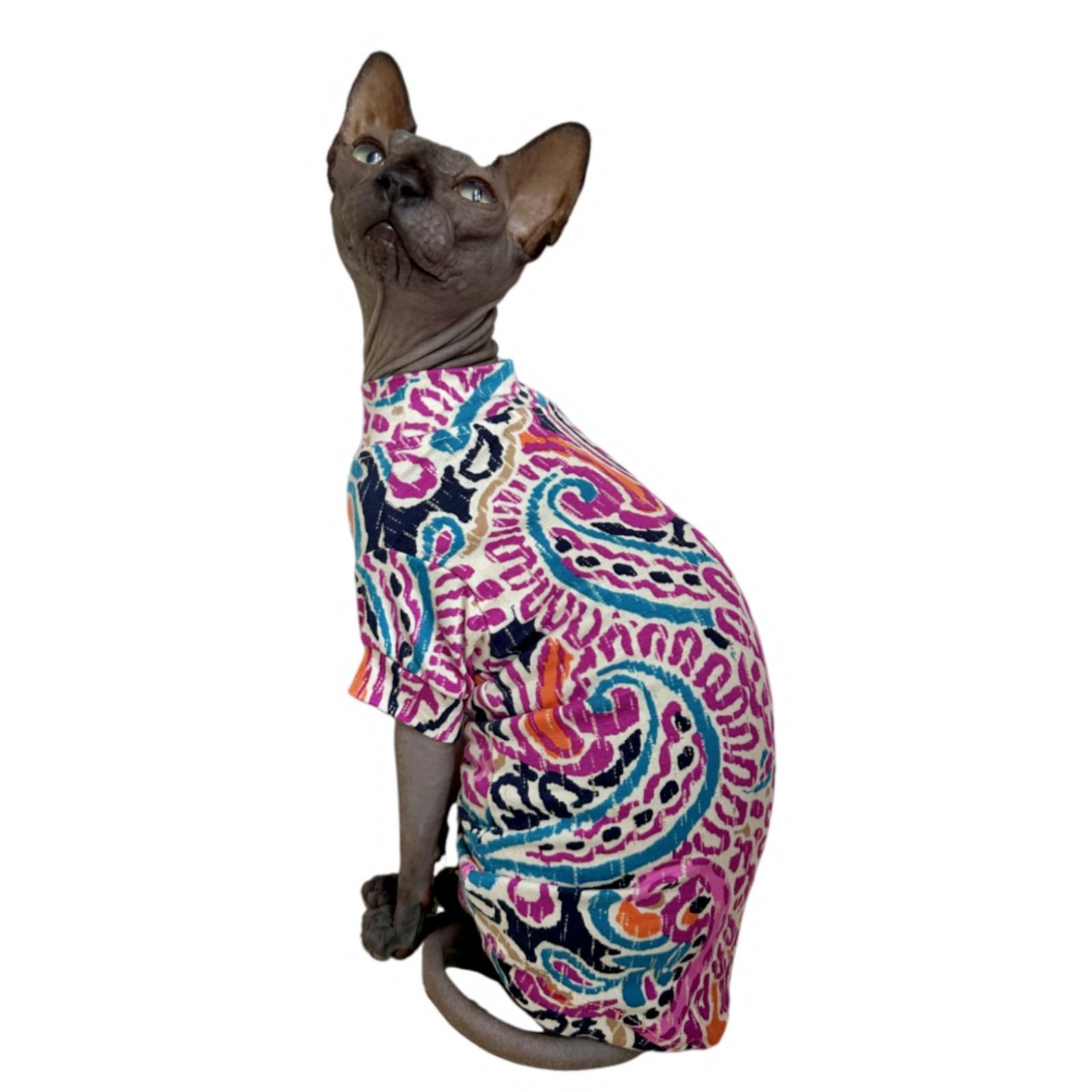 Limited Edition Sphynx Cat T-Shirts Elastic Hairless Cat Sweatshirt Pet Kitten Clothes Round Collar Kitten Shirts Vest Cats & Sm