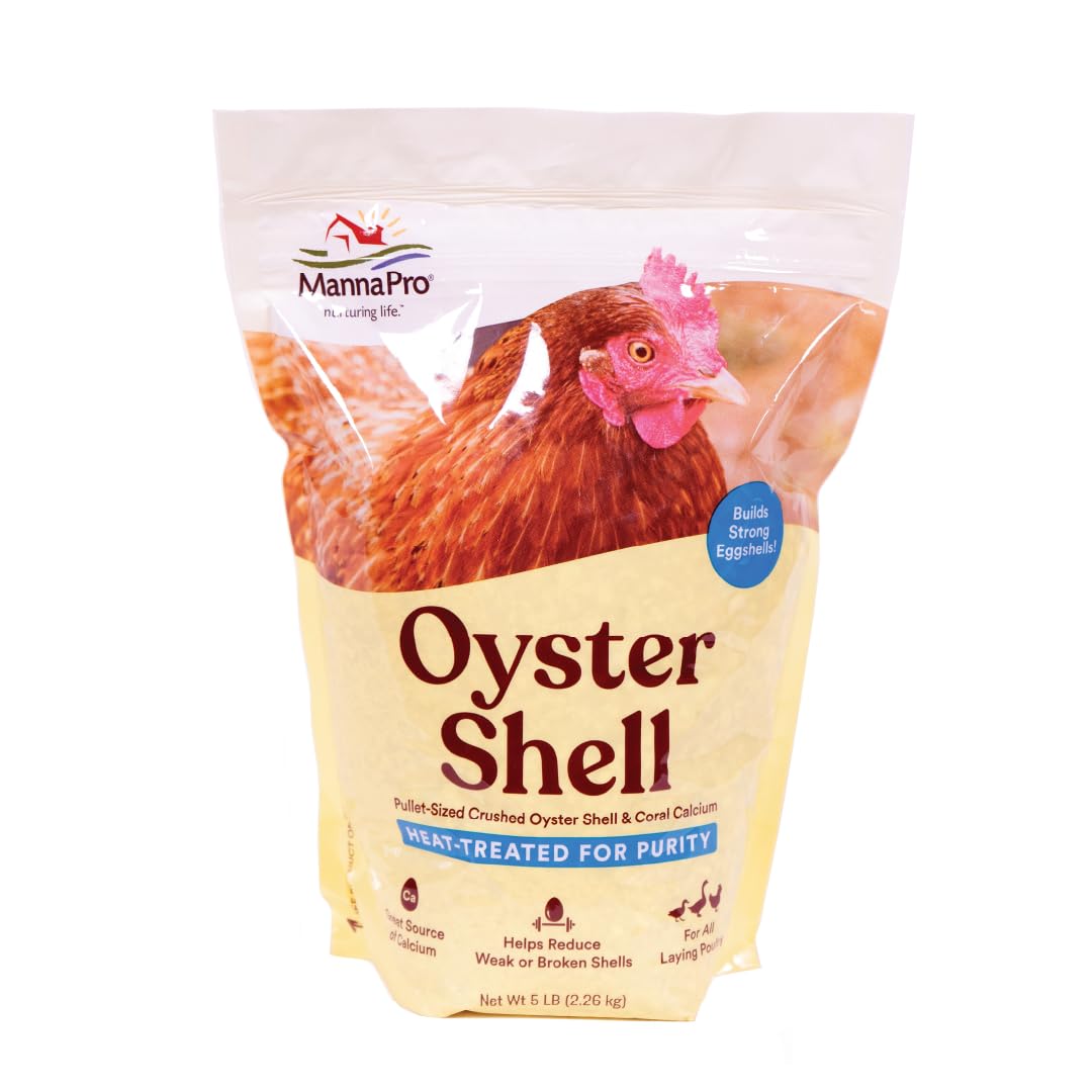 Manna Pro Crushed Oyster Shell Calcium Supplement For Laying Chickens  Poultry Treat  5 lbs.