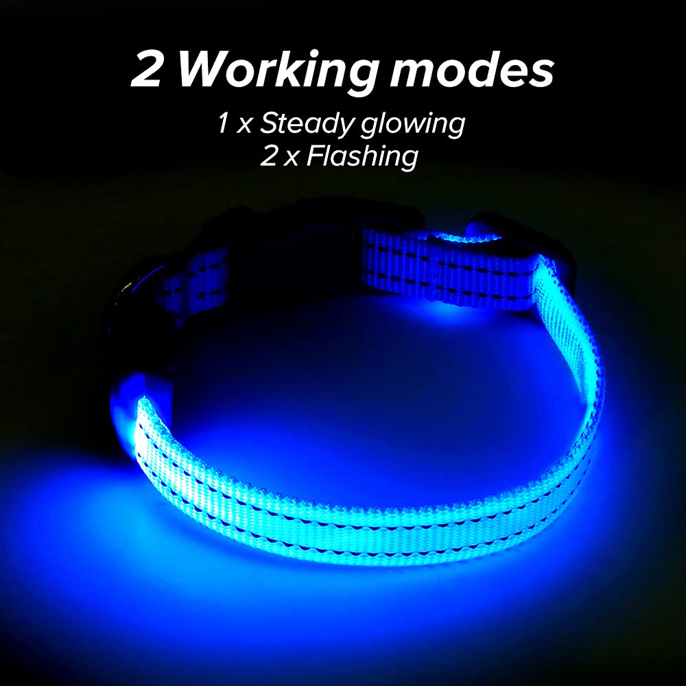 BSEEN LED Dog Collar - Rechargeable Reflective Glowing Collar for Puppies & Cats, Size L, Blue