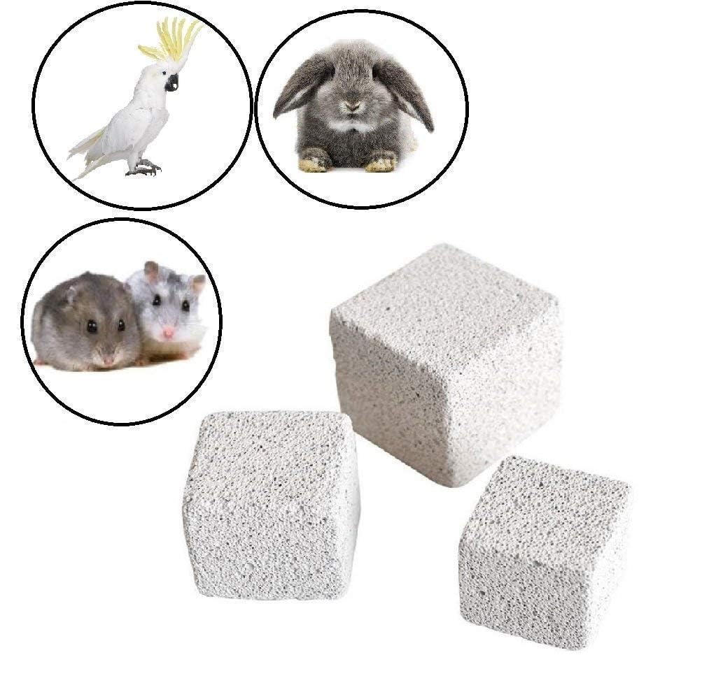 Hamiledyi Hamster Chew Toy Lava Teeth Grinding Square Stone For Hamsters Chinchillas And Rabbits Mineral Stone Calcium Chew Toy For Small Animal(Pack Of 10)