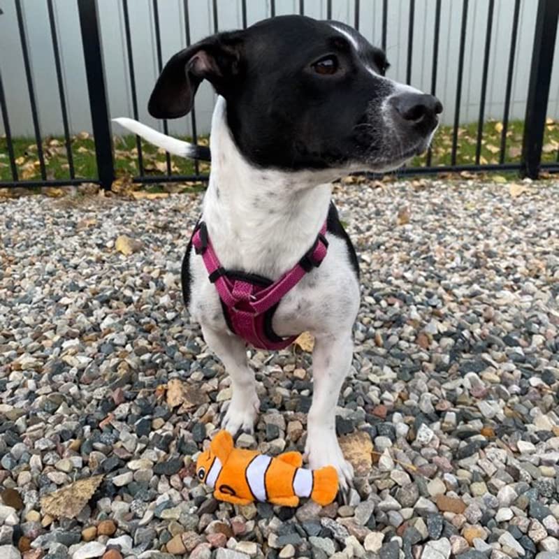 Smartpetlove Tender-Tuffs Tiny - Tough Plush Dog Toys For Puppies And Small Breeds - Stuffed Orange Clownfish With Puncture Resistant Squeaker