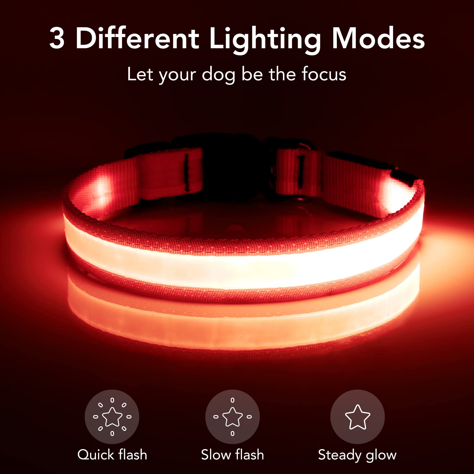 Vizpet Led Dog Collar, Light Up Dog Collar Adjustable Usb Rechargeable Super Bright Safety Light Glowing Collars For Dogs(X-Larg