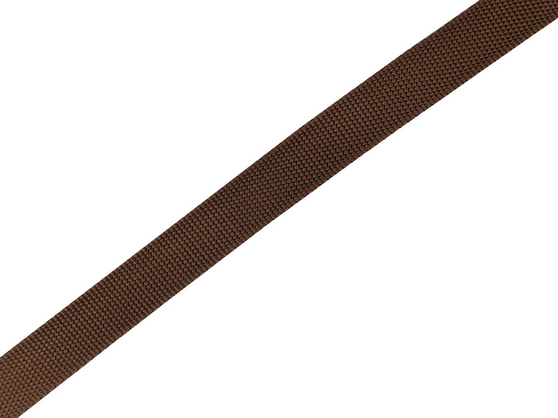 Nylon Dog Leash 12 Feet Long, Walking Training Dog Leashes For Medium Large Dogs(1'' X 12 Ft, Brown)