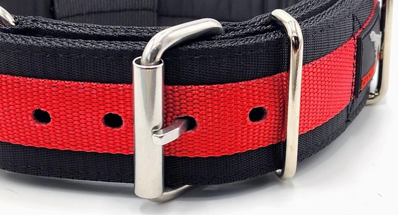 Canine Athletes 2' Wide Elite Max V2 Neoprene Padded Thick Working Dog Collar For Strong Dogs (Large)