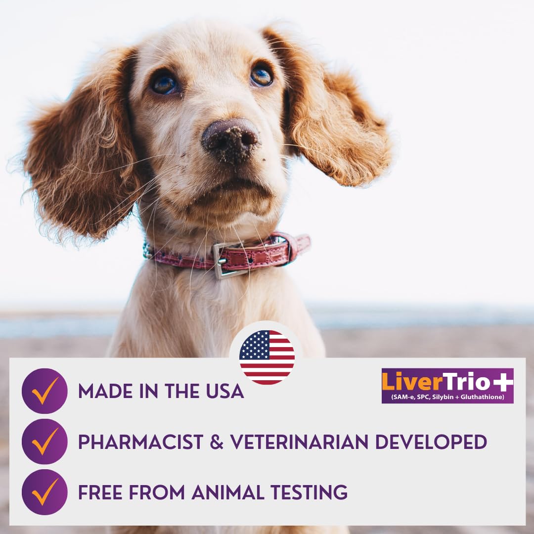 LiverTrio+ Comprehensive Liver Supplement (2 Pack - 60ct), Combining Same, SPC, Silybin A+B, Gluathione, Chew Tabs for Dogs 30Ct