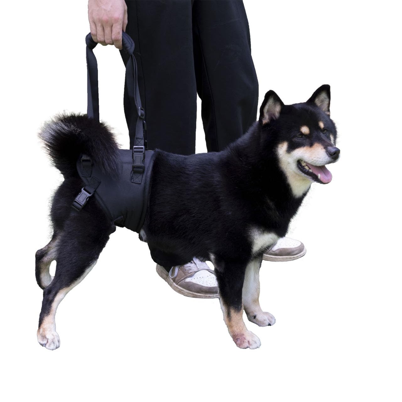 Sling For Dogs With Injuries And Stifle Weakness - Stifle Support Device For Recovery And Disability (Black, S)