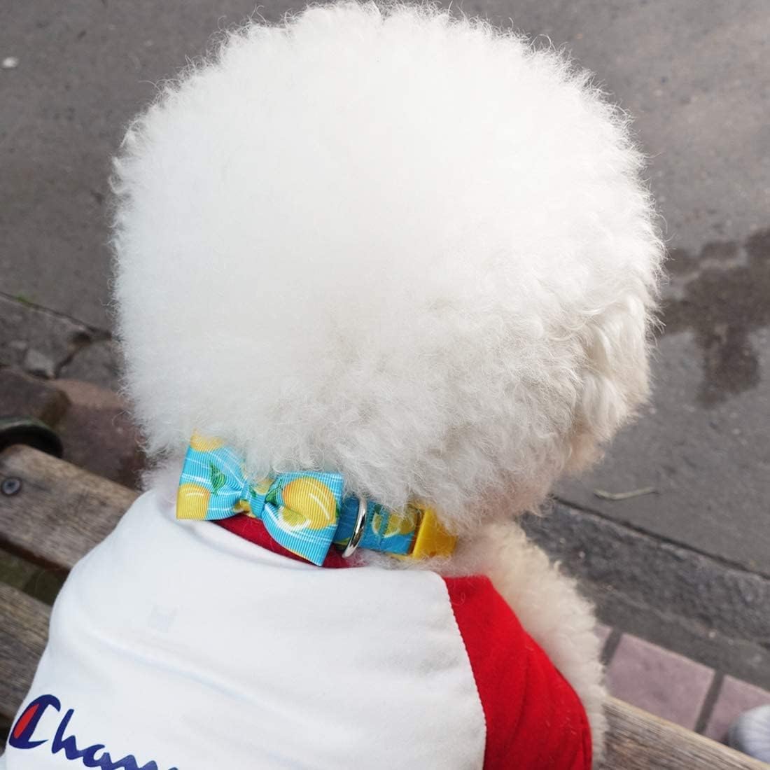 Azuza Dog Collar Bow Tie, Soft Adjustable Bow Tie Dog Collars For Medium Dogs