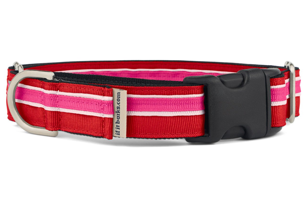 If It Barks 1 Martingale Collar With Quick Snap Release Buckle, Adjustable, Usa Made, Medium, Shortcake