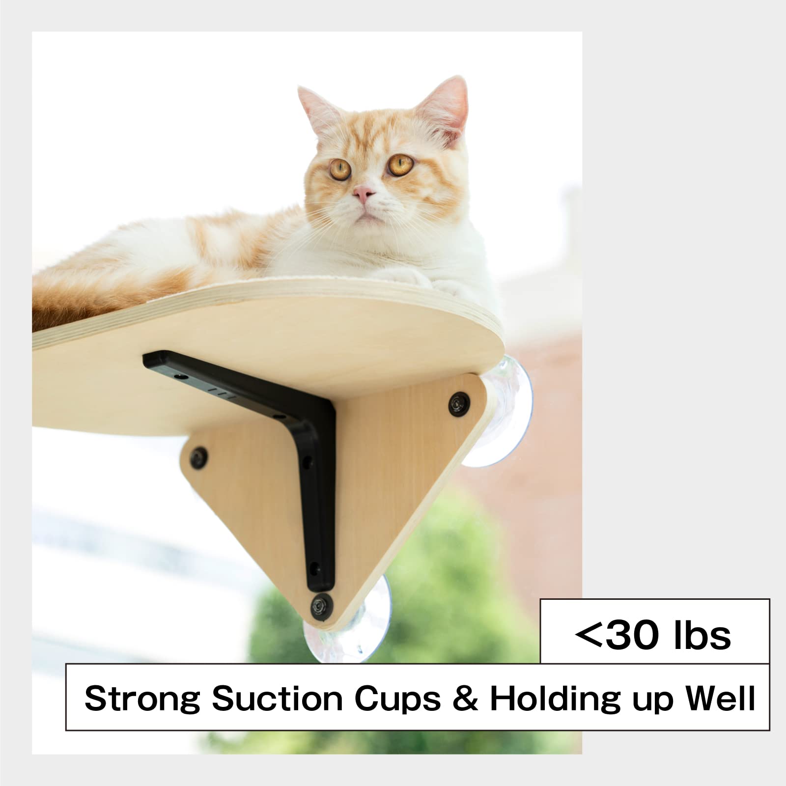 Mewoofun Cat Window Perch Hammock With Climbing Steps And Scratching Post Wooden Window Mounted Cat Bed For Indoor Cats (1 Cat Perch)