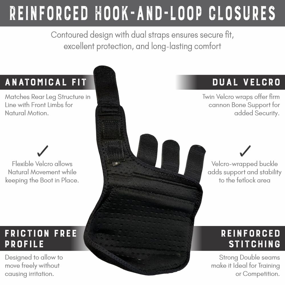 HILASON Horse Front Leg Neoprene Sport Boot Superior Protective & Shock Absorbing Comfortable Fit Breathable Design