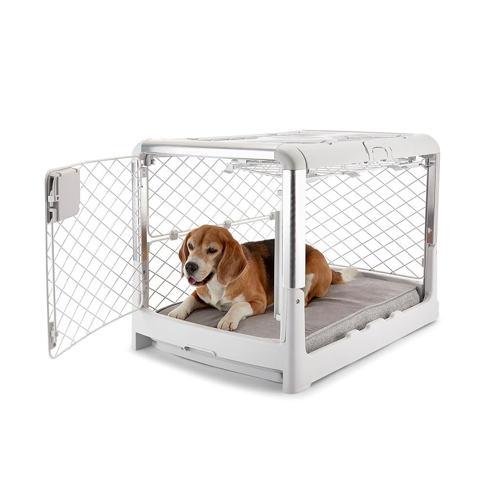 Diggs Revol Collapsible Dog Crate With Wheels - Premium Portable Dog Crate - Safe, Stylish, And Convenient Indoor Kennel (Ash, M