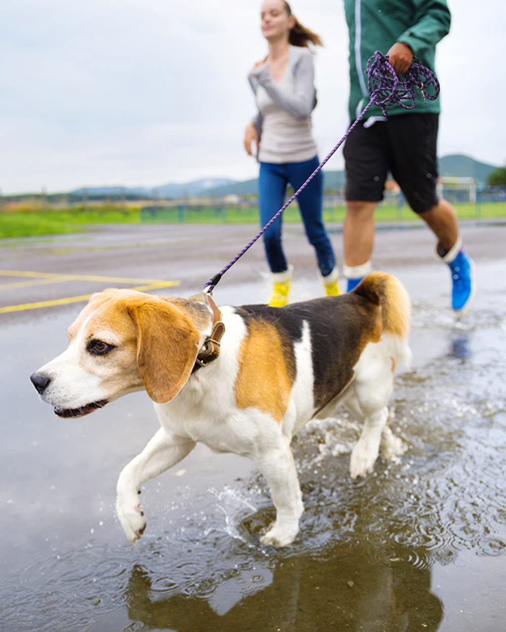 (2 Pack) Long Dog Leash For Dog Training 15Ft/30Ft/50Ft, Dog Rope Leash With Reflective Thread For Large Medium Small Dogs, Dog Tie-Out Cable Lead For Hunting, Camping&Backyard