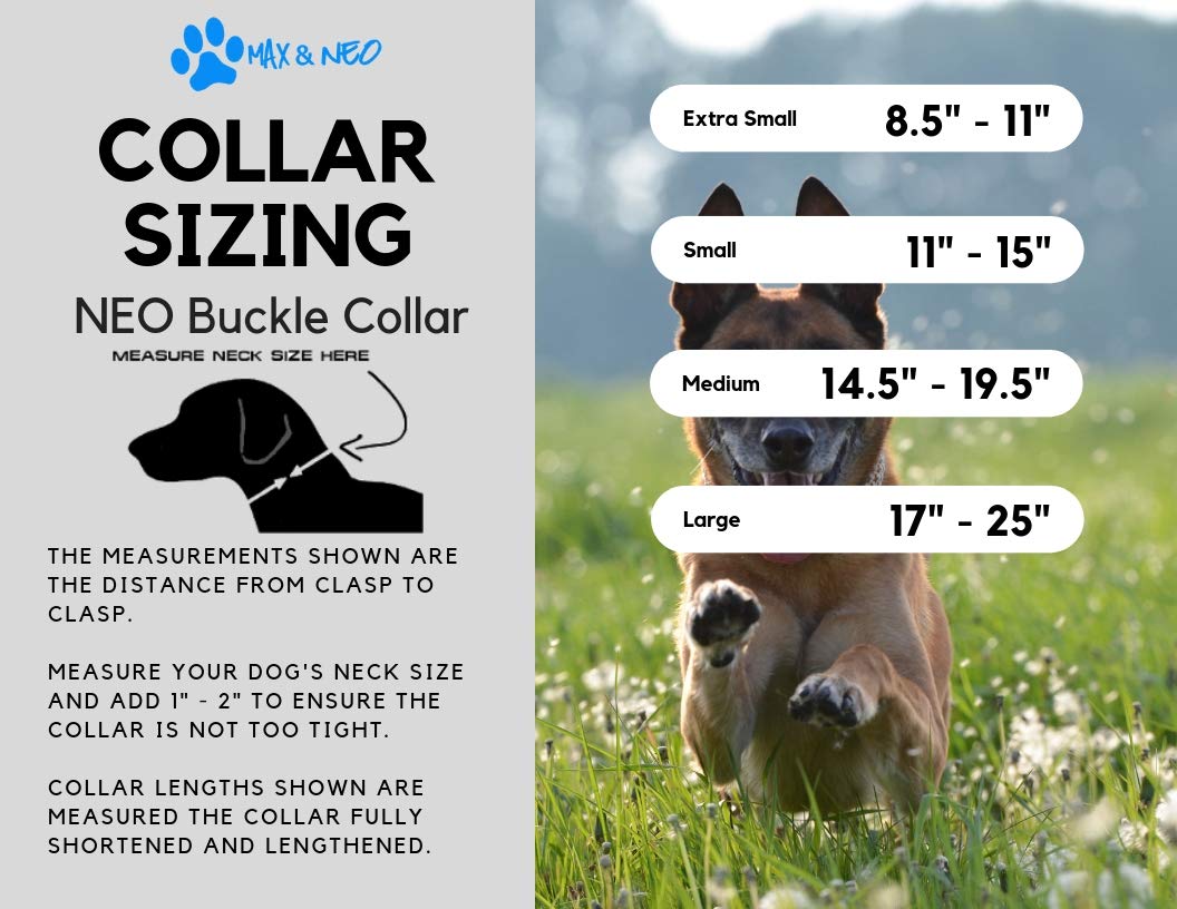 Max and Neo NEO Nylon Reflective Dog Collar - Small Teal - Metal Buckle, Rescue Donation Program