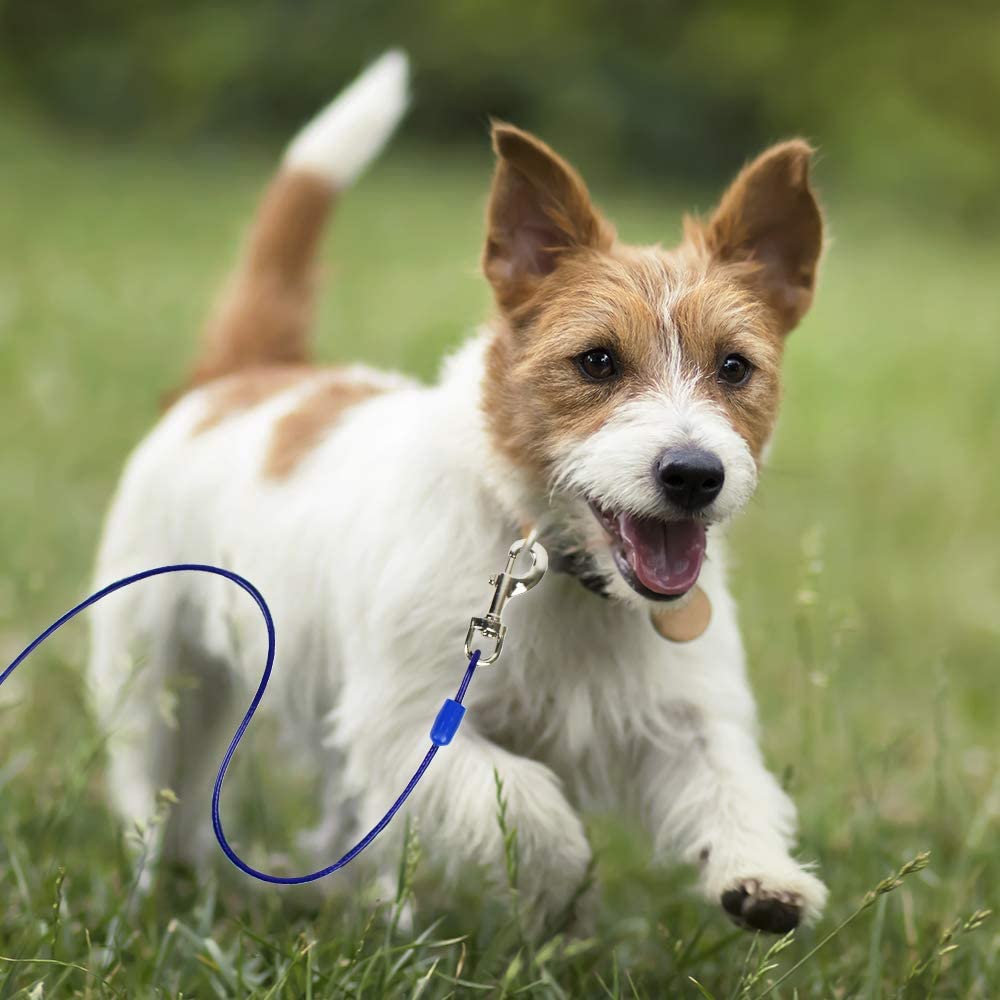 Bv Pet Tie Out Cable For Dogs Up To 90/125/ 250 Pounds, 25/30 Feet (60Lbs/ 15Ft/ Blue)