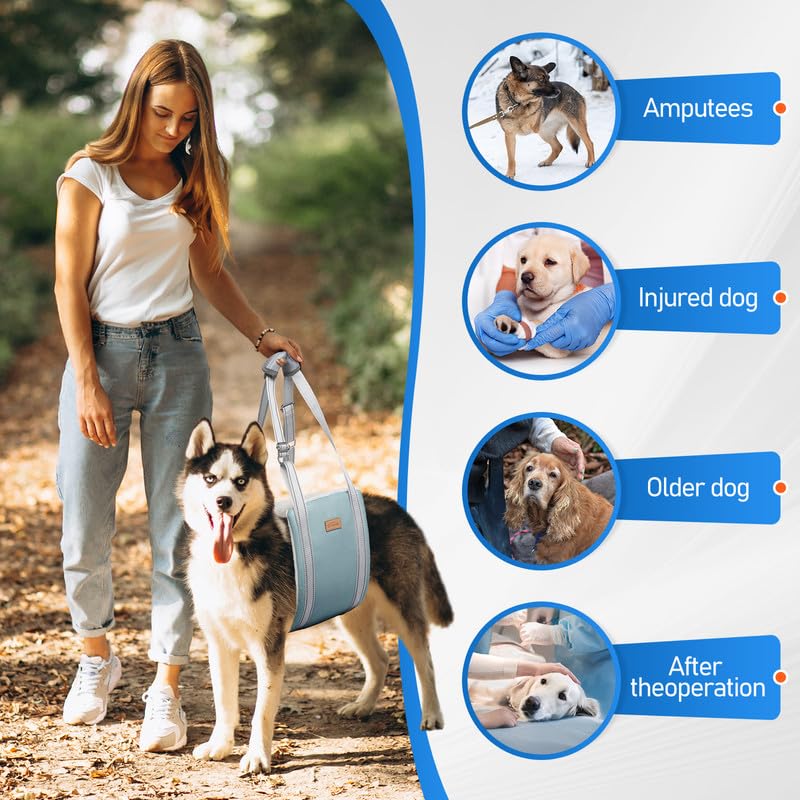 Dog Lift Harness For Small Dogs, Adjustable Dog Sling For Back Legs, Hip Support Harness To Help Lift Dogs Rear For Canine Aid A