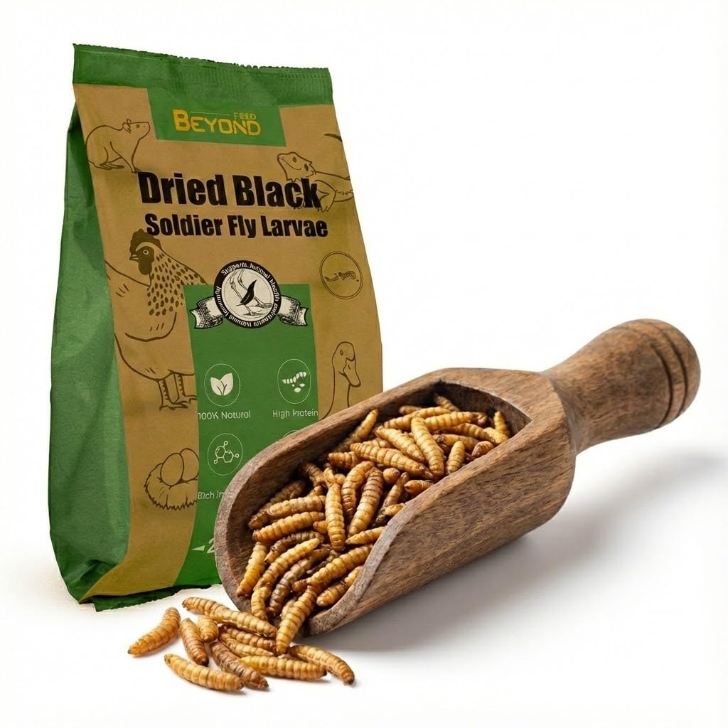 BeyondFeed Premium Dried Black Soldier Fly Larvae - High Calcium Supplement for Stronger Eggshells & Molting Recovery - Whole, L