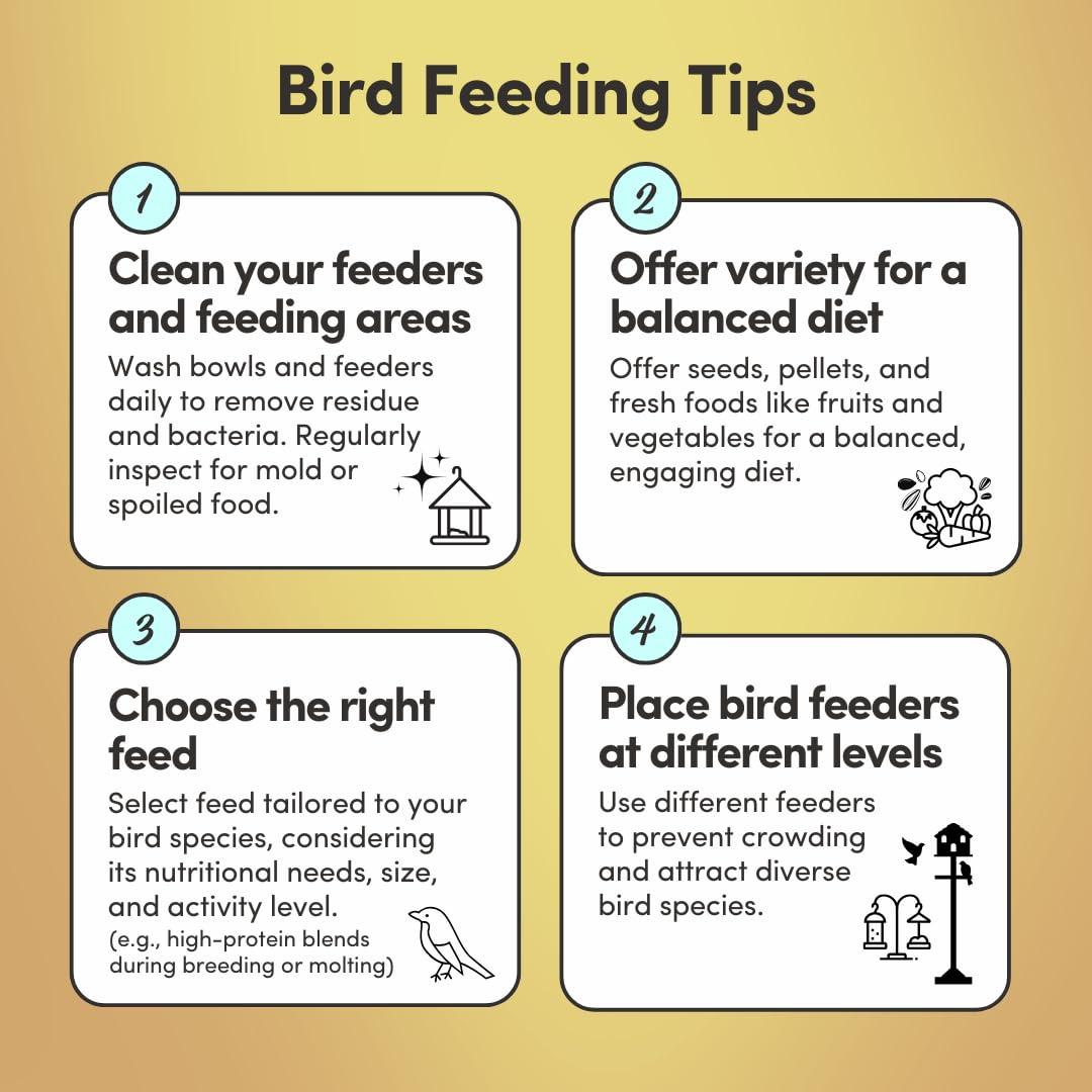Mycelium Organic Cockatoo Bird Seed (5 LB Bag) | High-Protein Bird Food with Seeds, Pellets & Kibble | Supports Feather Health,