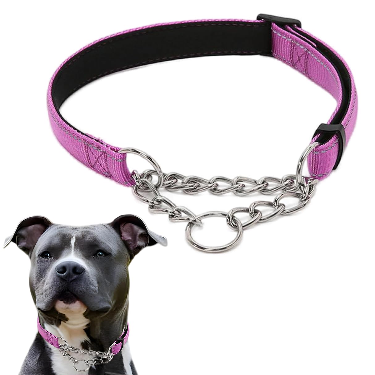 Purple Martingale Collar For Dogs, Reflective Nylon Dog Collar Adjustable Stainless Steel Chain Collar Female No Pull Pet Traini