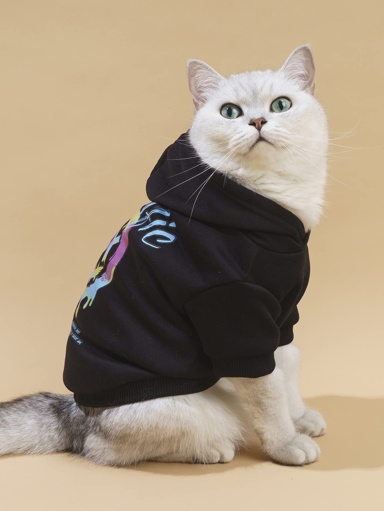 Qwinee Dog Hoodie Dog Shirt Sweatshirt Stylish Dog Clothes For Cat Kitten Puppy Small Medium Large Dogs Black Small