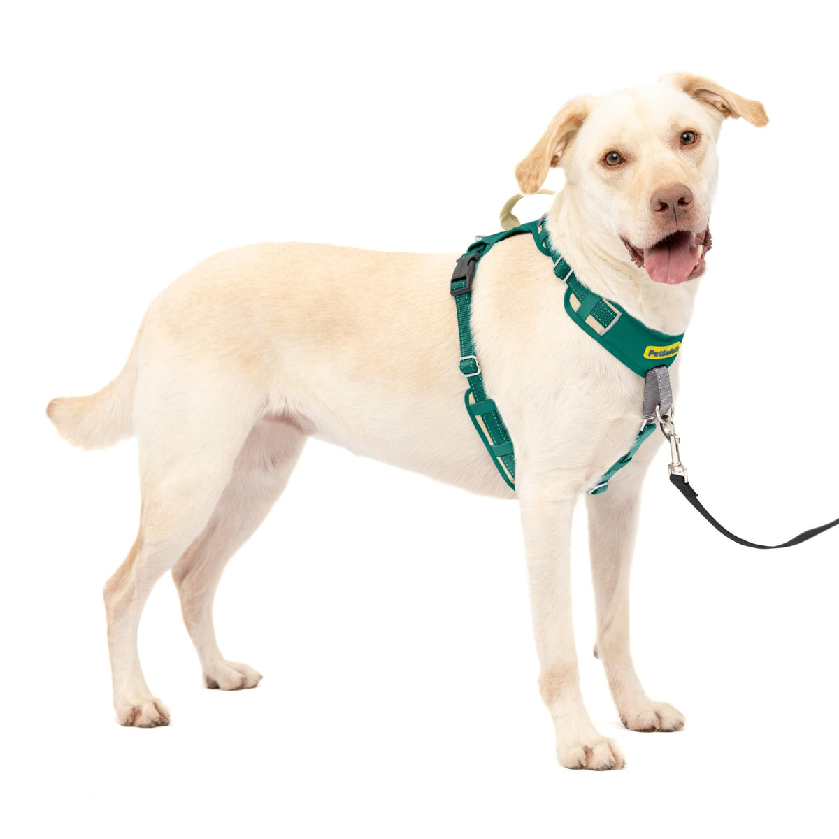 Petsafe Easy Walk Comfort No-Pull Dog Harness Full-Body Padding - Better Walks On The First Use - 5 Points Of Adjustment Large, 