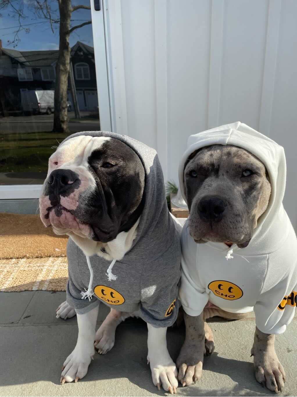 Chochocho Smiley Dog Hoodie Stylish Dog Clothes Smiley Face Sweater Cotton Sweatshirt Fashion Outfit For Dogs Cats Puppy Small Medium Large (L, White)