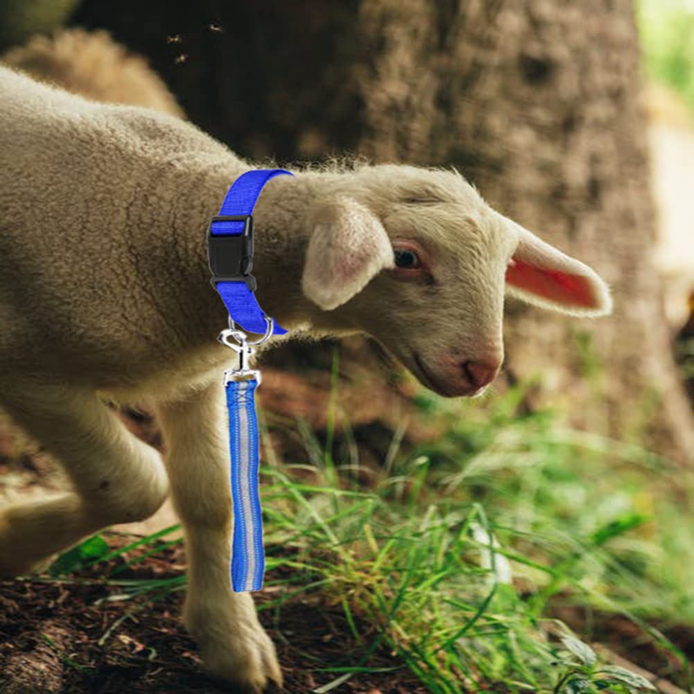 8 Pieces Goat Lead And Goat Collars Set, Nylon 11 Inch Goat Lead With Reflective Strip Design And Nylon Goat Collar For Small Farm Animal Goat Cow Horse Sheep (Multicolor)