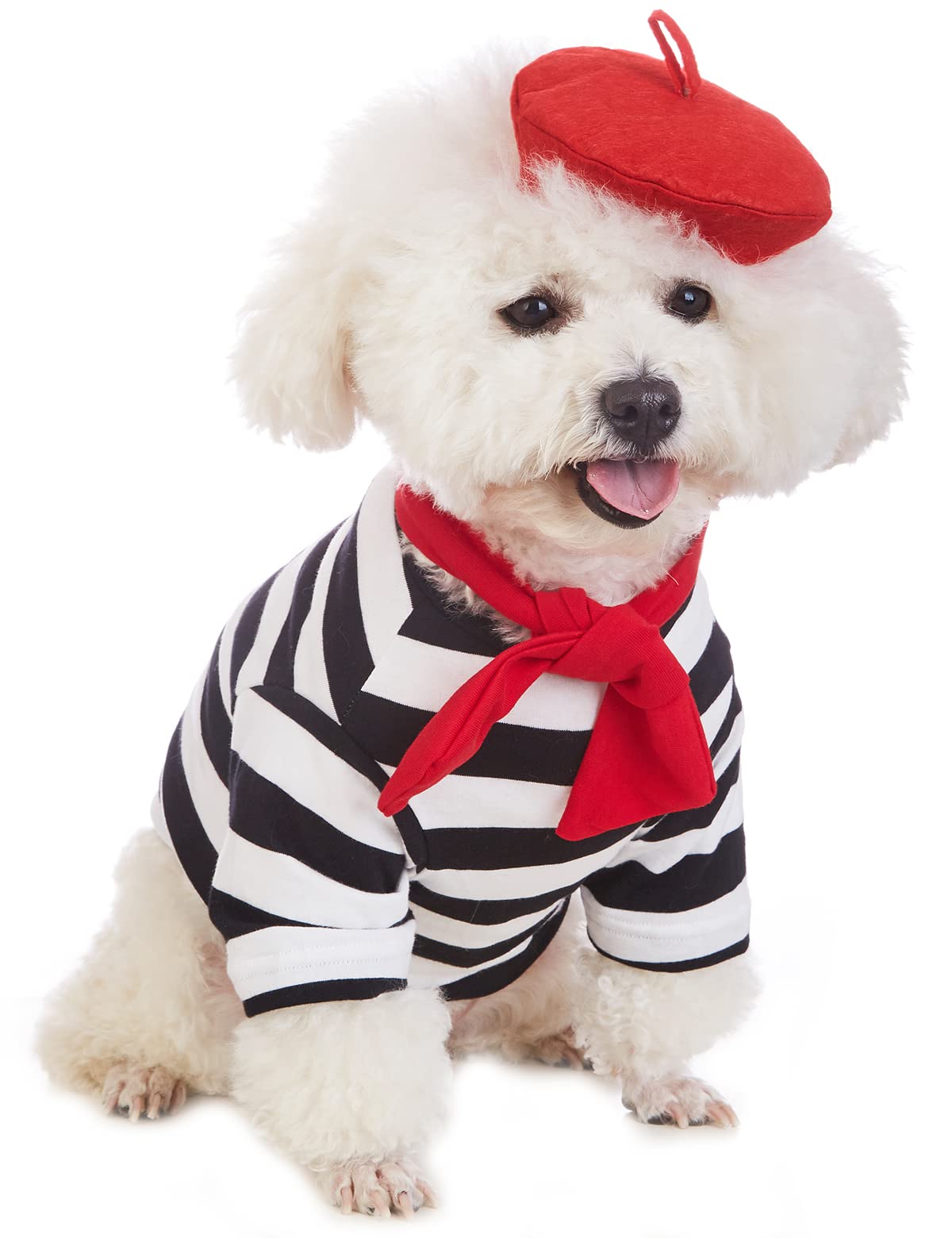 Coomour Artist Dog Costume With Funny Hat Painter Pet Clothes For Small Dog Shirts Puppy Summer T-Shirt (2Xl) Black