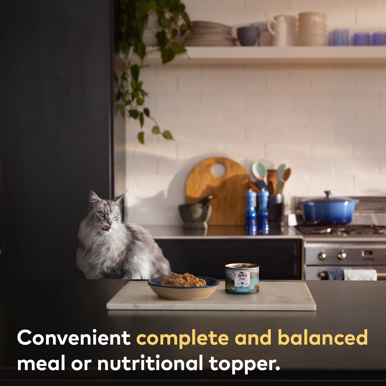 ZIWI Peak Canned Wet Cat Food - All Natural, High Protein, Grain Free, Limited Ingredient, with Superfoods (Beef), 6.5 Ounce (Pa