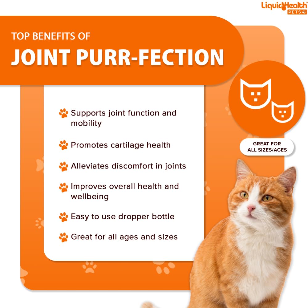 Liquidhealth Glucosamine Cat Joint Supplement For Hip Pain & Joint Pain Relief, 2.3 Oz