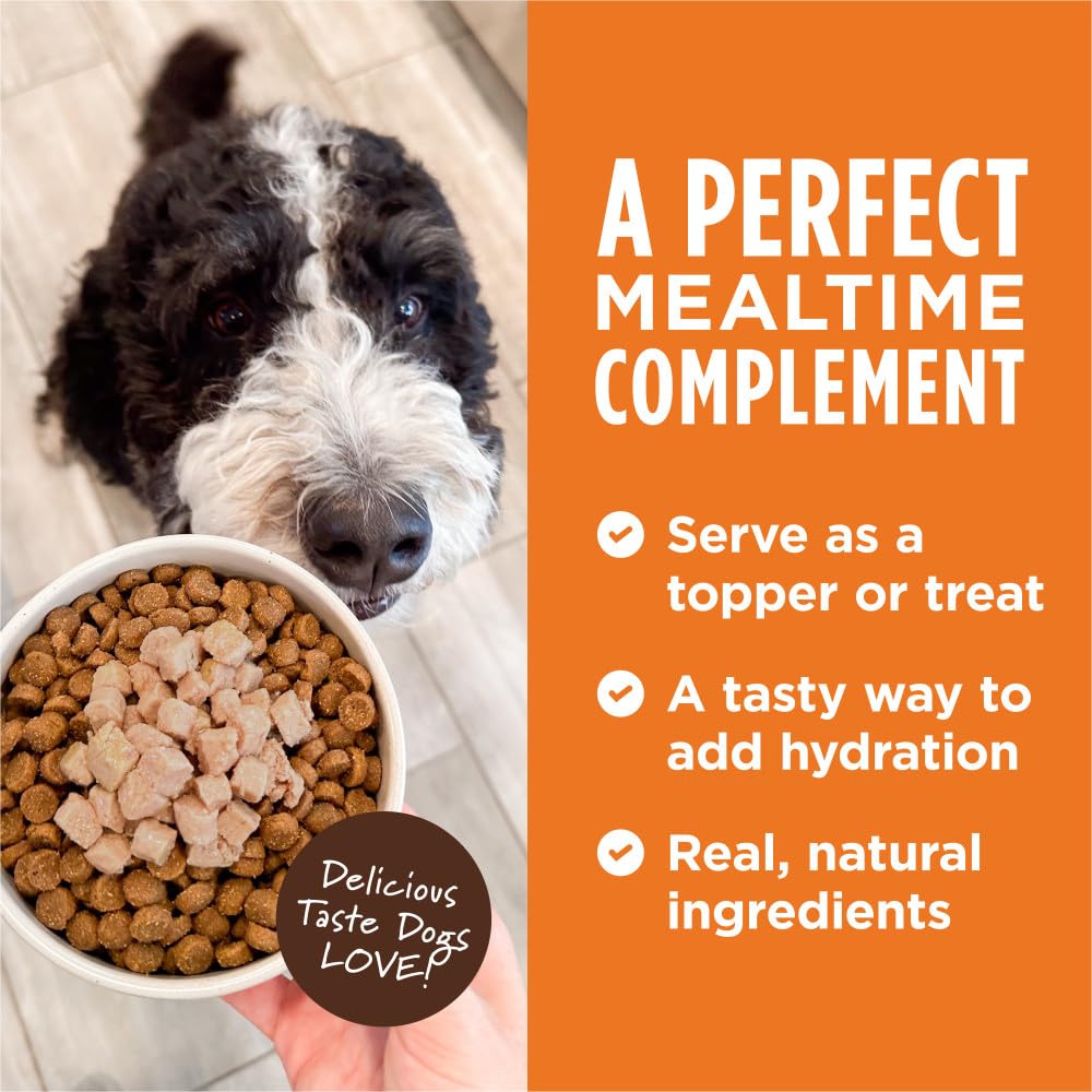 Natures Variety Instinct Healthy Cravings Grain Free Real Salmon Recipe Natural Wet Dog Food Topper, 3 Ounce (Pack of 24)