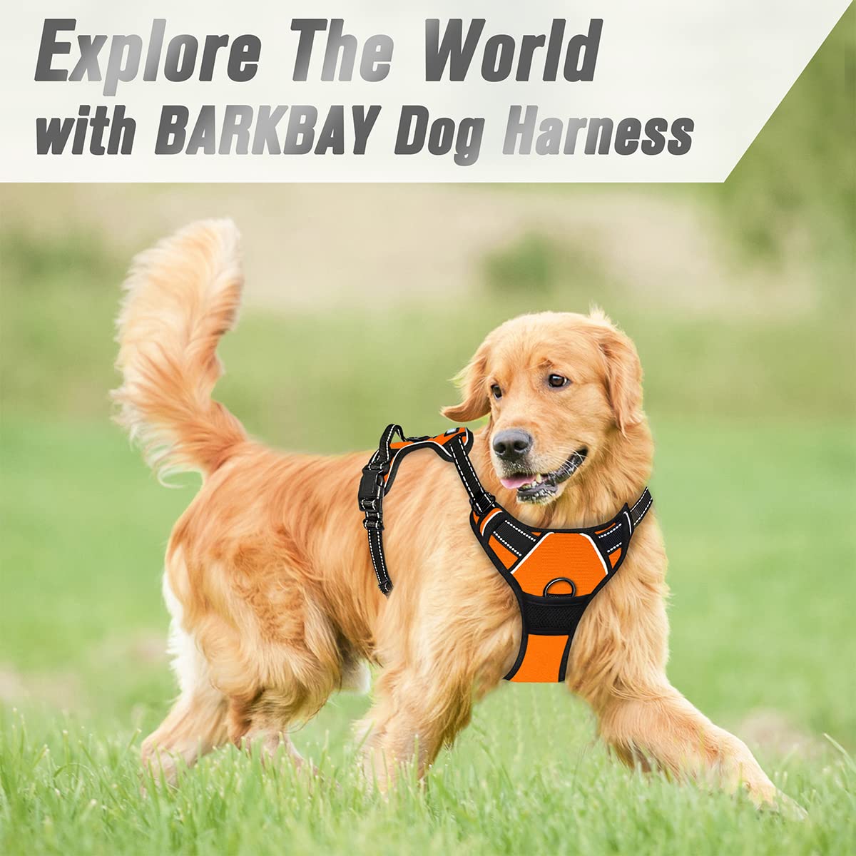Barkbay No Pull Dog Harness Front Clip Heavy Duty Reflective Easy Control Handle For Large Dog Walking(Orange,M)