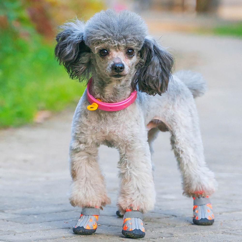 Paipeper Dog Shoes For Small Medium Dogs,Dog Boots & Paw Protectors For Hot Pavement And Winter Snow,Anti-Slip Rubber Dog Bootie