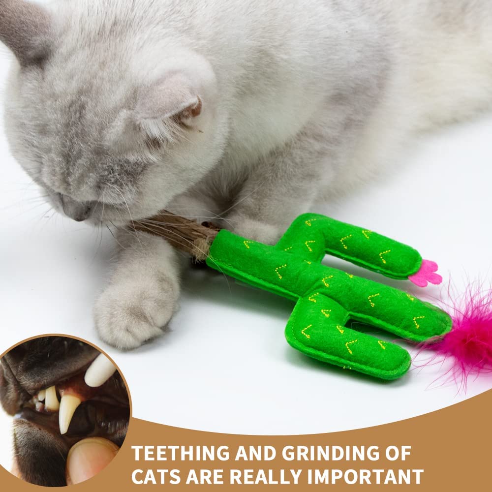 Paz'S Gift Cat Chew Toy Catnip Organic Cat Bite Toy Indoor Interactive Cat Kick Stick For Cats Silvervine With Feather Cat Stick Cute Plush Cactus